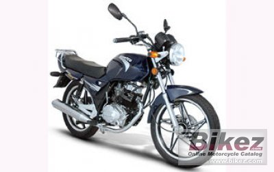 2010 Giantco Hunter City 125 photo